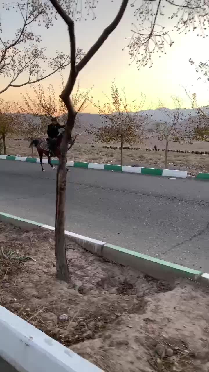 فروش اسب قیمت توافقی|اسب و تجهیزات اسبسواری|پاکدشت, پارچین|دیوار