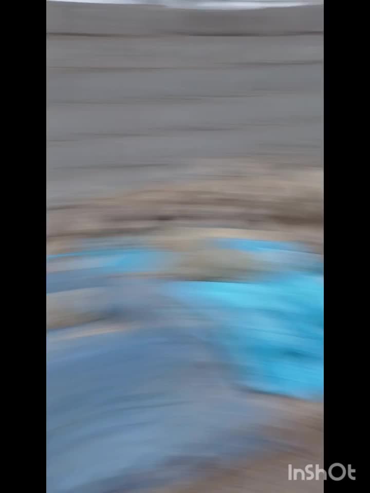 کره ازنسل خیبر رهنان|اسب و تجهیزات اسبسواری|ساوه, |دیوار