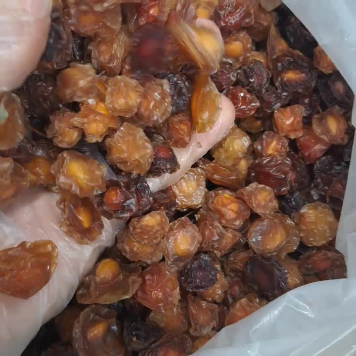 آلوچه طلایی ریز درجه یک /عمده، مستقیم|خوردنی و آشامیدنی|تهران, کوی نصر مهرآباد|دیوار
