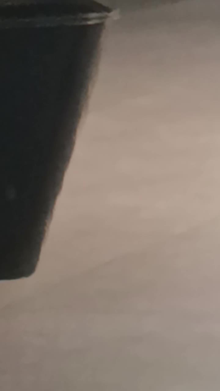 سرامیک و واکس و پولیش ۵۰٪ تخفیف در محل شما|خدمات موتور و ماشین|تهران, المهدی|دیوار