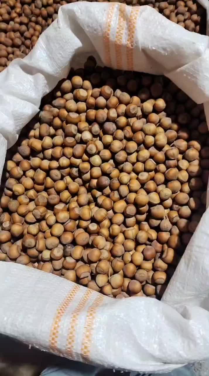 فروش فندق خشک و درجه ۱ دوهزار|خوردنی و آشامیدنی|تهران, جیحون|دیوار