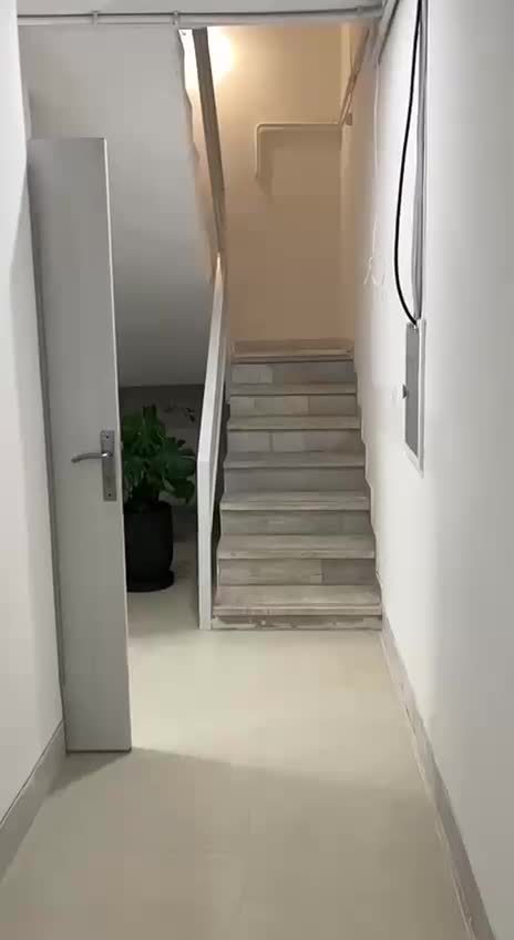 رهن و اجاره|اجارهٔ دفتر کار، اتاق اداری، مطب|فسا, |دیوار