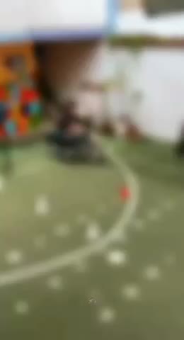 آموزش موتورسواری خصوصی بانوان و آقایان(دیباجی)|خدمات آموزشی|تهران, کامرانیه|دیوار