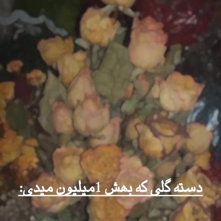 دسته گل و باکس روبانی و پولی برای هر مناسبت وزایر|گل مصنوعی|اردبیل, |دیوار