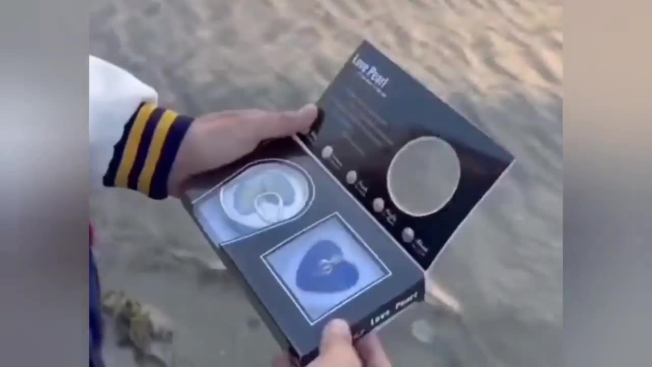 پک گردنبند /مروارید /عشق /صدف/ طبیعی|بدلیجات|اهواز, گلستان|دیوار