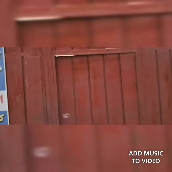 بچه ماهی کپور و خوراک اکسترود|ماهی|کرج, شهرک سهرابیه|دیوار