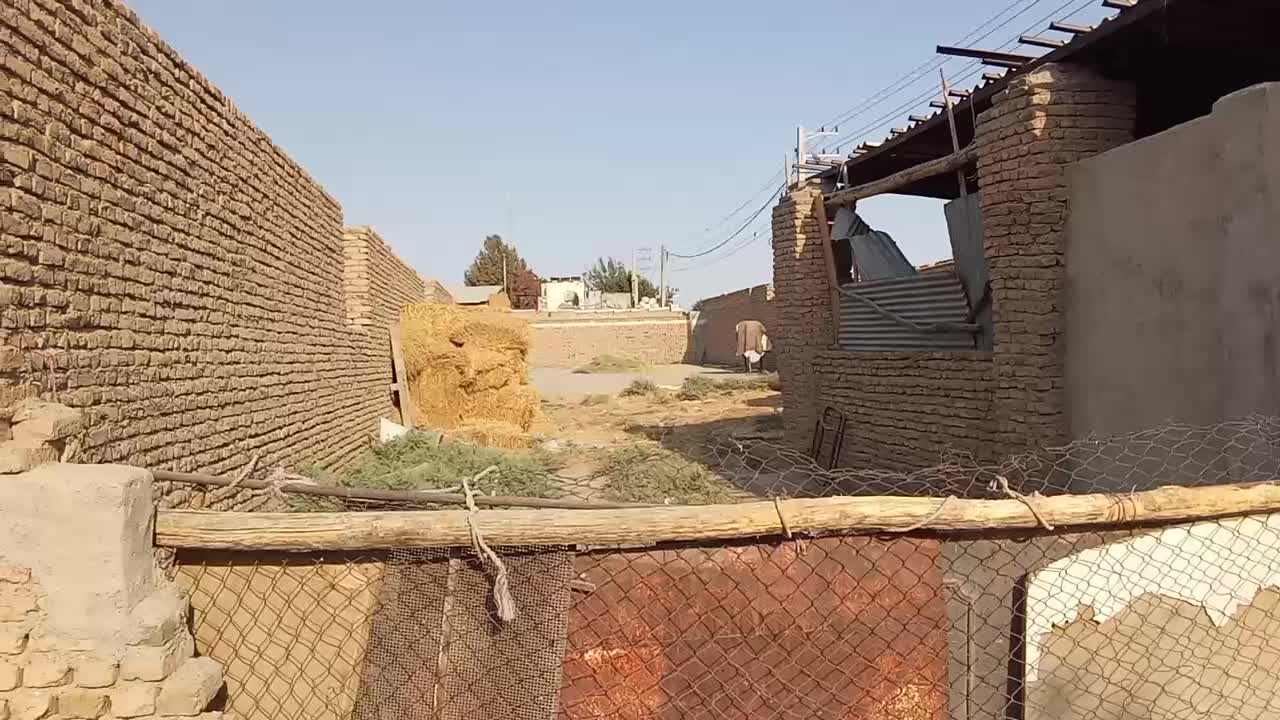 420متر زمین در پاکدشت|فروش دفتر صنعتی، کشاورزی، تجاری|پاکدشت, پاکدشت (مامازند)|دیوار