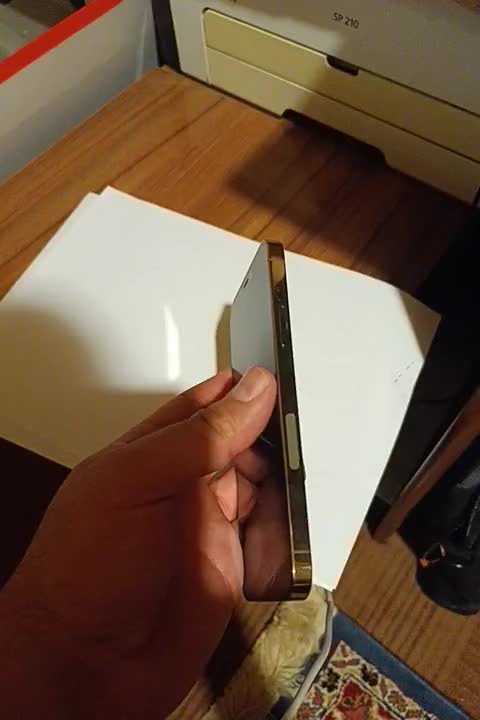 اپل ۱۲ پرو|موبایل|بیرجند, |دیوار