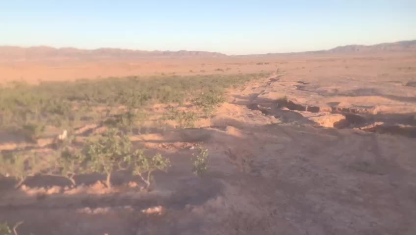 حراج باغ پسته|فروش زمین و ملک کلنگی|کاشمر, |دیوار