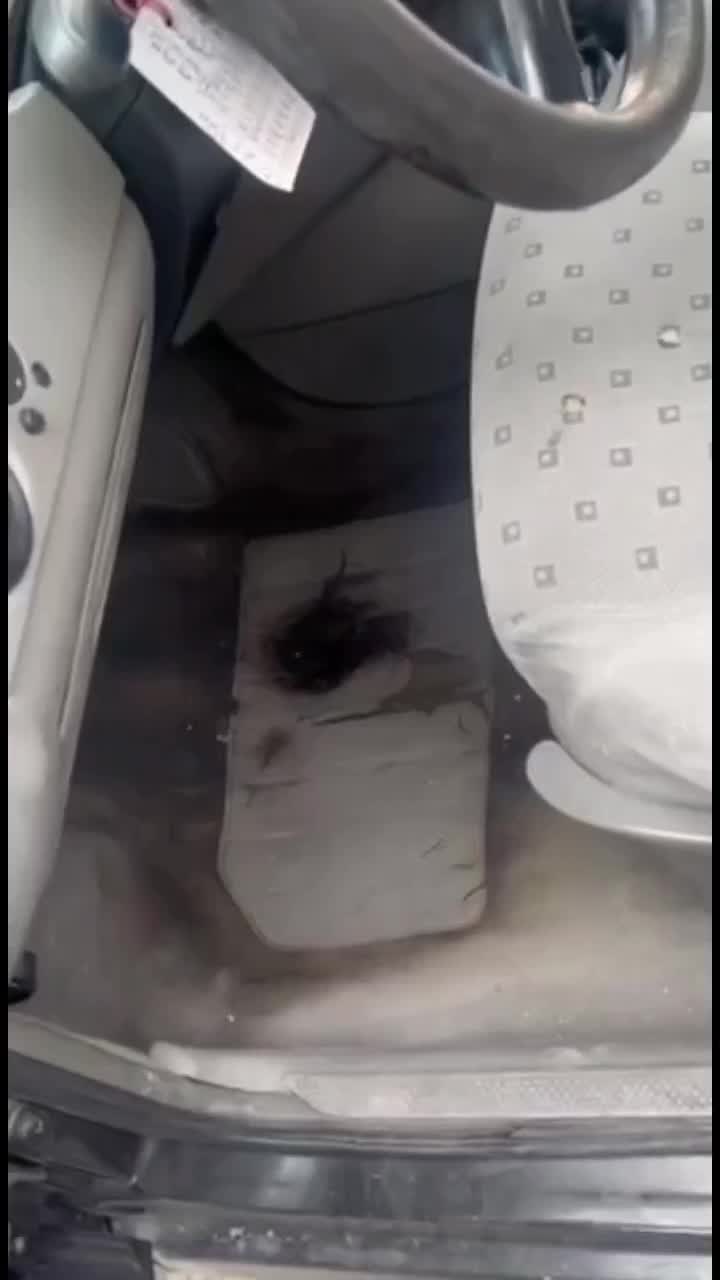 شستشو تخصصی صندلی خودرو در محل شما|خدمات موتور و ماشین|پرند, فاز ۰|دیوار