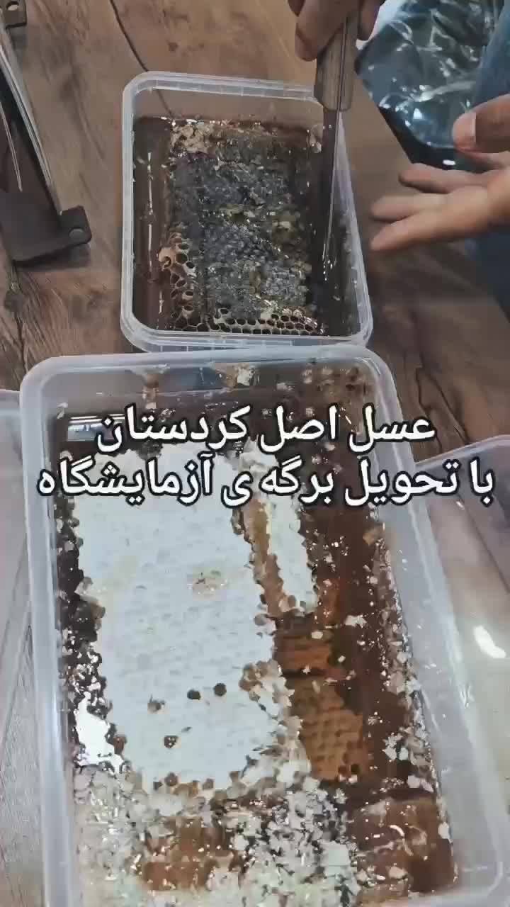 فروش عسل طبیعی کردستان، ژل رویال معجون تقویت جنسی|خوردنی و آشامیدنی|کلاله, |دیوار