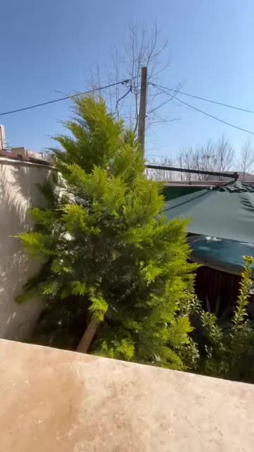 ویلا۲خواب باجکوزی سنگی اب گرم نزدیک منطقه ازاد|اجارهٔ کوتاهمدت ویلا و باغ|رشت, فرودگاه سردار جنگل رشت|دیوار