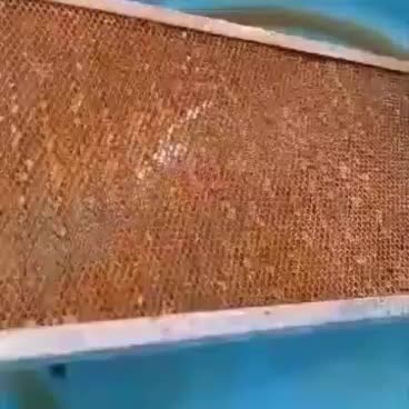 نانوسان|مواد شوینده و دستمال کاغذی|بندر ماهشهر, |دیوار