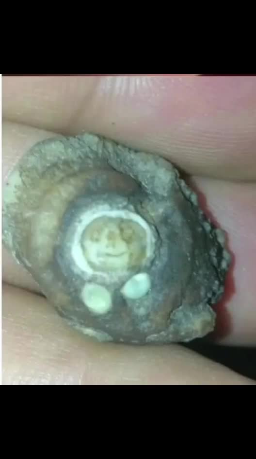 بابا قوری عتیقه اعجوبه|کلکسیون اشیاء عتیقه|قم, زند آباد|دیوار