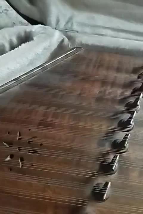 سنتور نه خرک استاندارد|سازهای سنتی|تهران, بوستان ولایت|دیوار