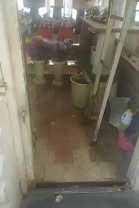 فروش دکه گلفروشی|فروش مغازه و غرفه|تهران, عباسآباد|دیوار