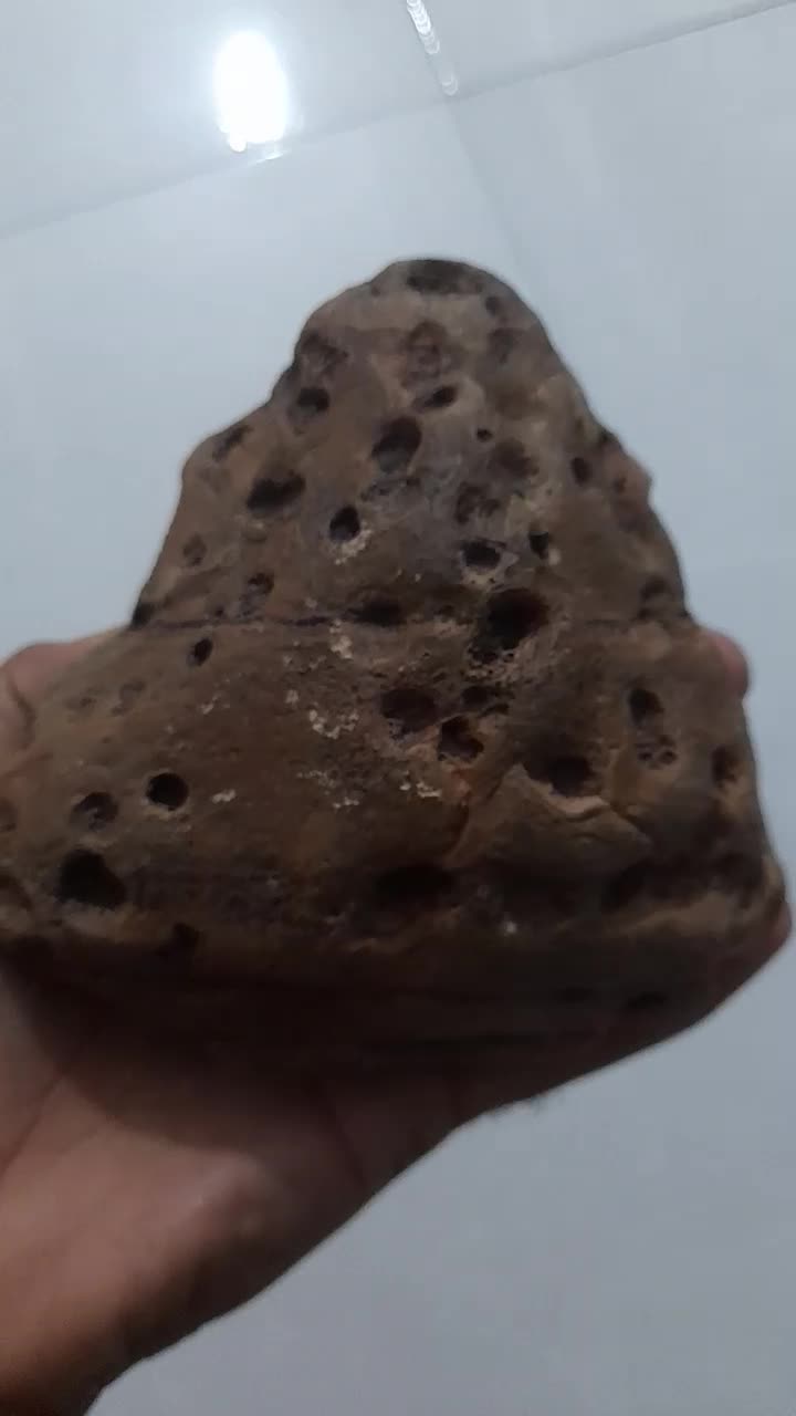 شهاب سنگ|کلکسیون اشیاء عتیقه|بندرعباس, |دیوار