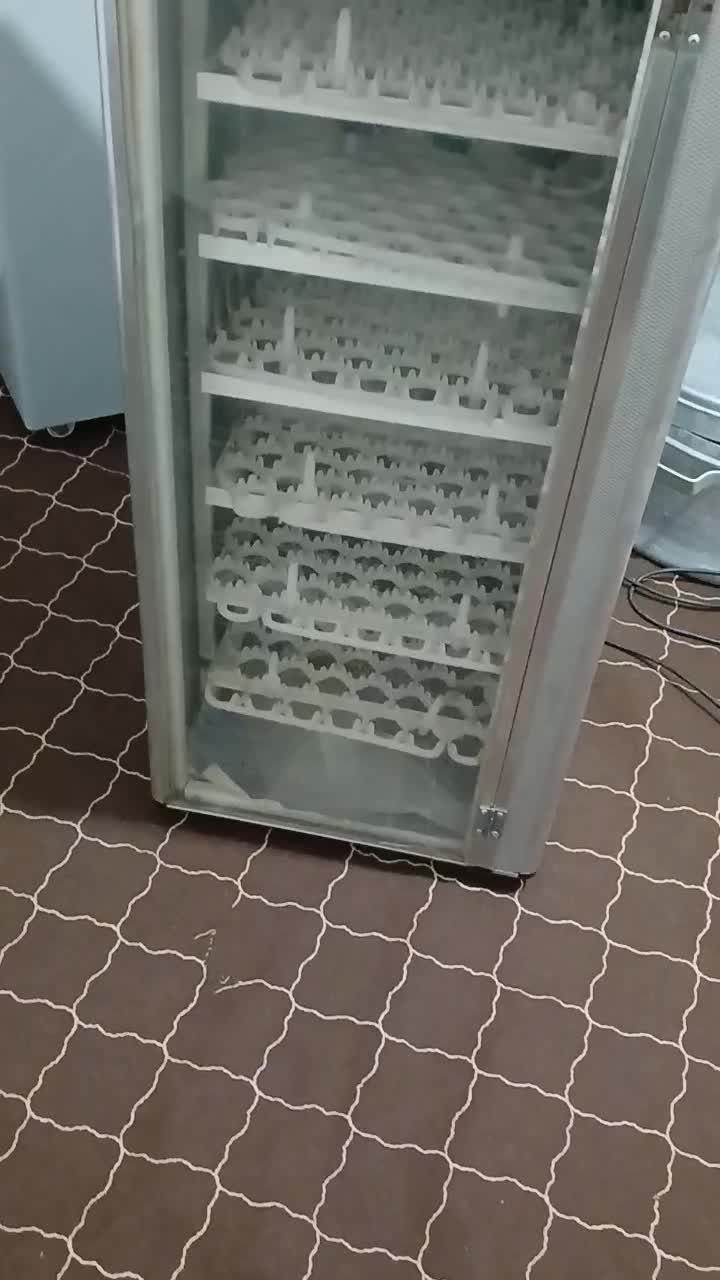 دستگاه جوجه کشی|لوازم جانبی حیوانات|بم, |دیوار