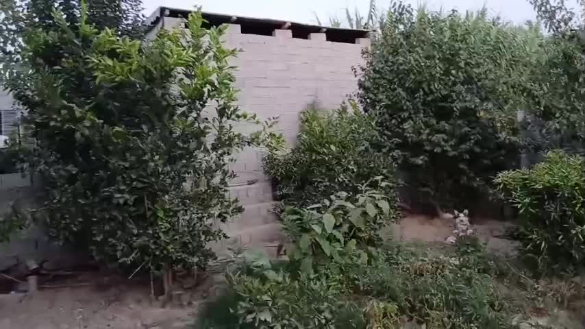 منزل ویلایی|فروش خانه و ویلا|تهران, نیلوفر|دیوار
