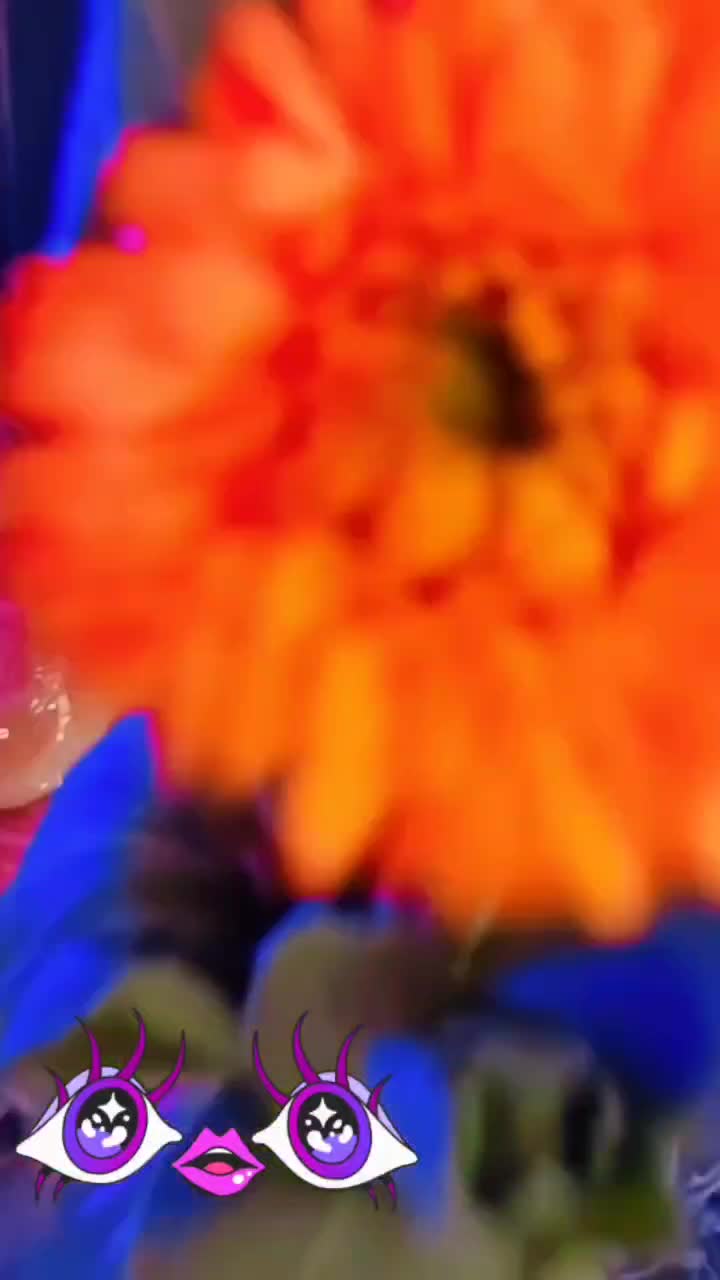 سالن تولد،نامزدی،عقد،عروسی،دورهمی|خدمات پذیرایی، مراسم|تهران, تهرانپارس شرقی|دیوار