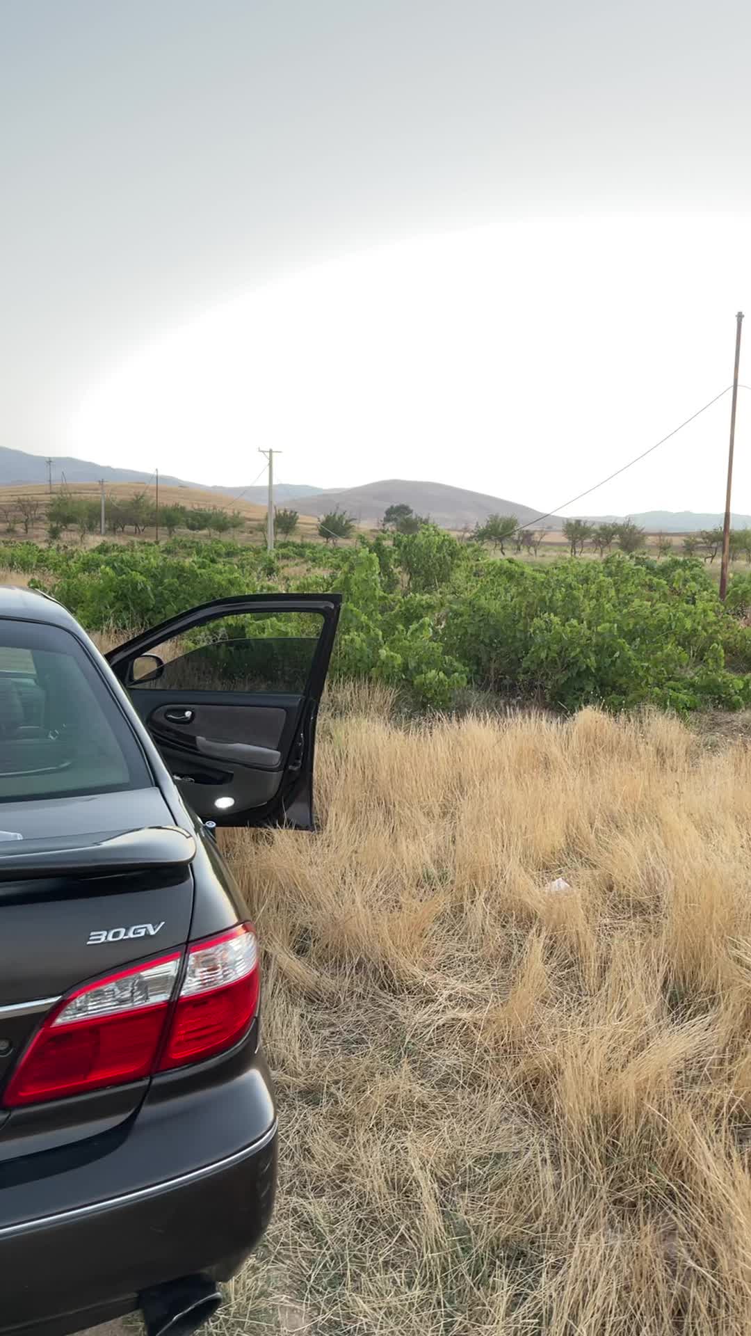 زمین ۸ هزار متری تک برگ سند|فروش زمین و ملک کلنگی|ابهر, |دیوار