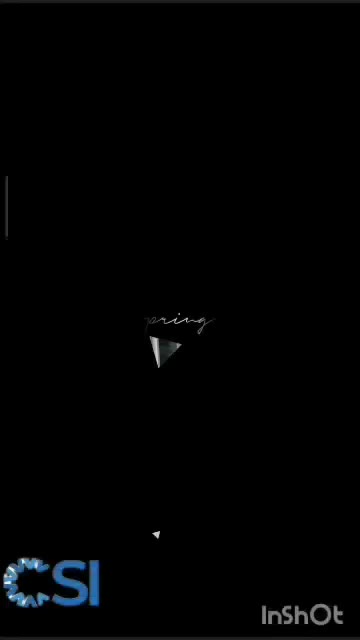 یخچال فروشگاهی مرغی ، قنادی ،قصابی|فروشگاه و مغازه|شیراز, گل سرخ|دیوار