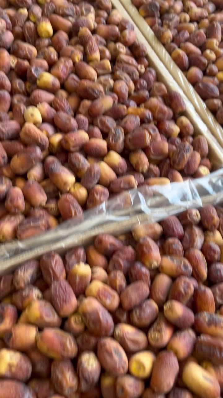 خرما زاهدی (قصب)|خوردنی و آشامیدنی|لامرد, |دیوار