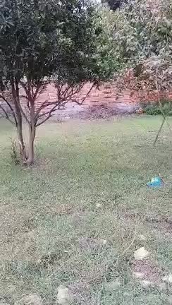 فروش یا معاوضه زمین با ماشین|فروش زمین و ملک کلنگی|ارطه, |دیوار