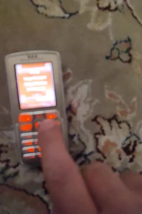 بازی|کلکسیون اشیاء عتیقه|ساوه, |دیوار