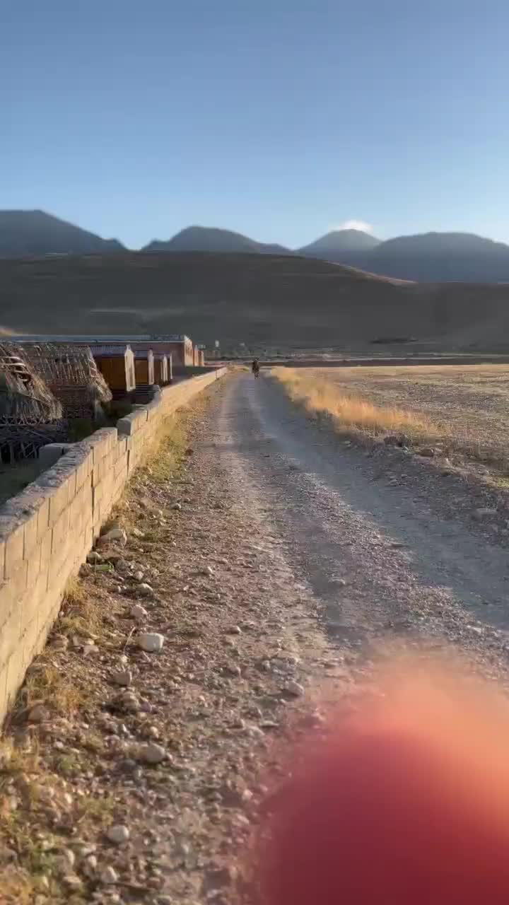 اسب نریان یورقه|اسب و تجهیزات اسبسواری|ماکو, |دیوار