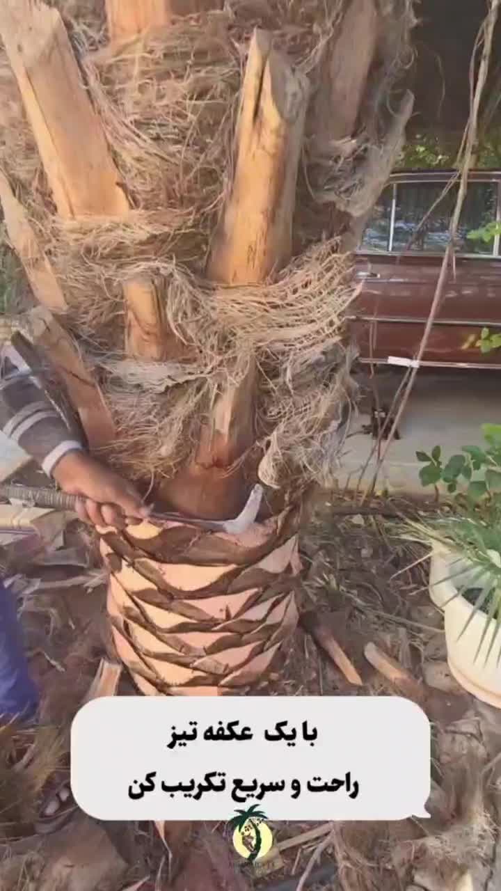 داس مخصوص هرس درخت|ابزارآلات|قشم, |دیوار