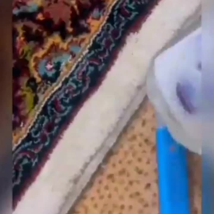 شامپو فرش نانو(لکه بر فرش)|مواد شوینده و دستمال کاغذی|اهواز, امانیه|دیوار