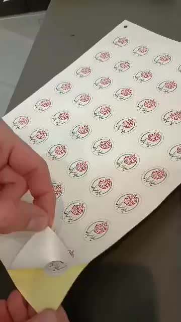 خدمات چاپ و پرینت|خدمات رایانه‌ای و موبایل|رشت, کاکتوس|دیوار