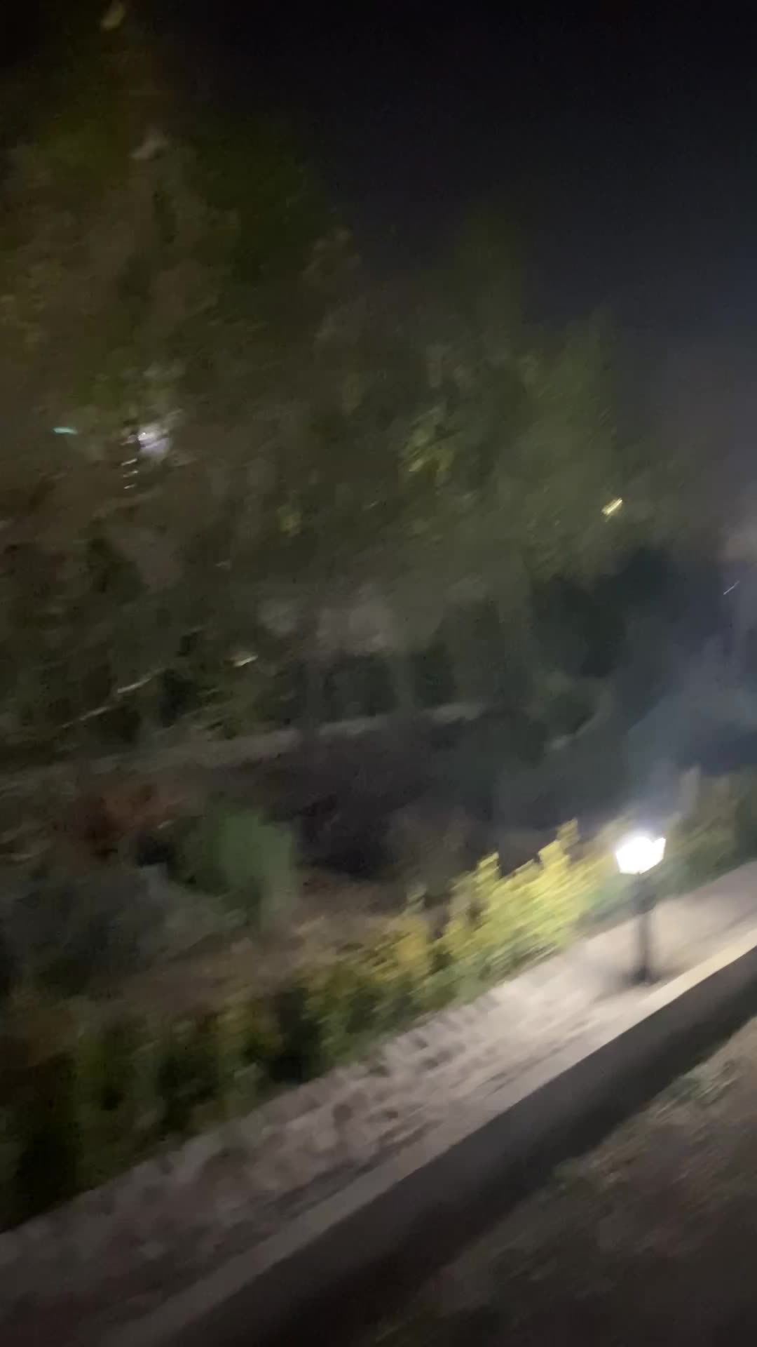 باغ تالار باکتری (امپریال) ۴ باغ|خدمات پذیرایی، مراسم|چهارباغ, |دیوار