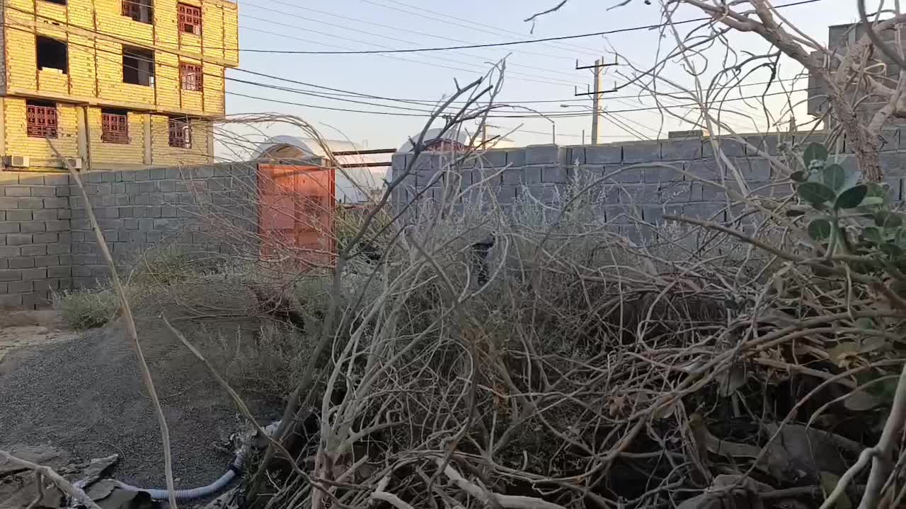 زمین فروشی چهار دیواری با موقعیت عالی|فروش زمین و ملک کلنگی|ایرانشهر, |دیوار