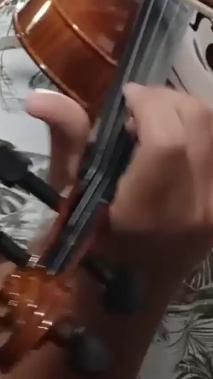 ویولن فونیکس 4/4|ویولن|خرم‌آباد, |دیوار