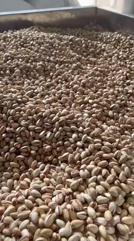 پسته|خوردنی و آشامیدنی|مه ولات, |دیوار