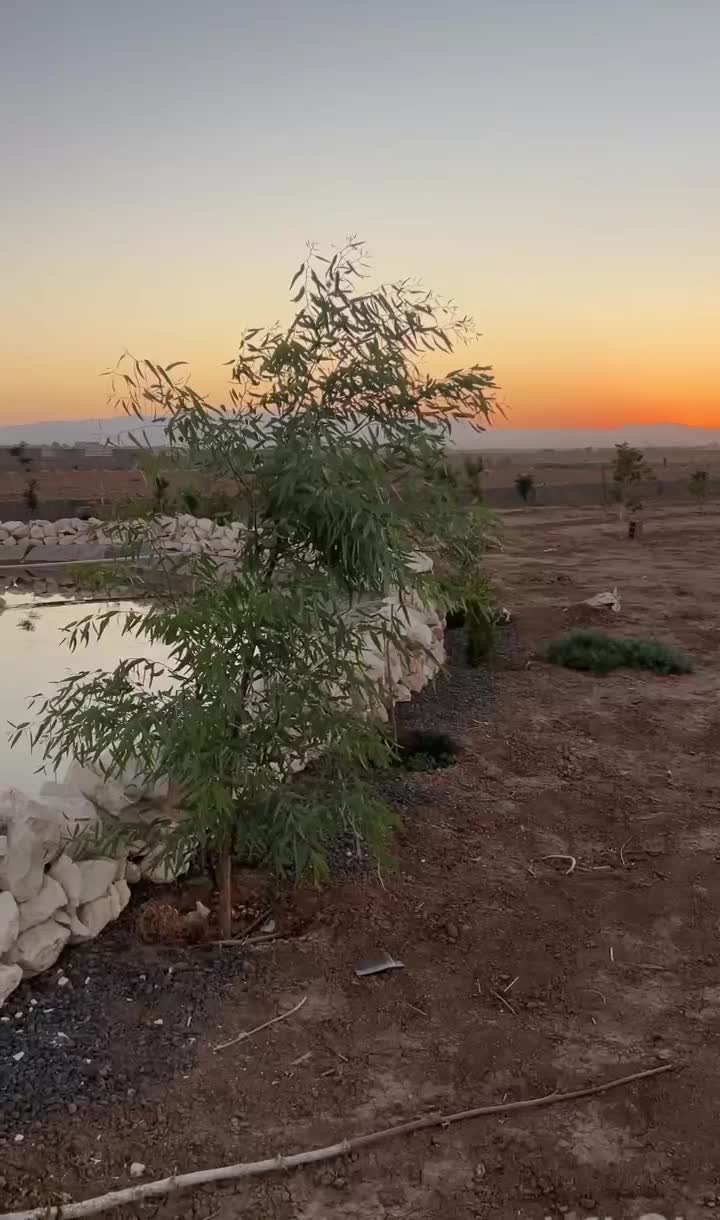 فروش باغچه فوری|فروش زمین و ملک کلنگی|زرندیه, |دیوار