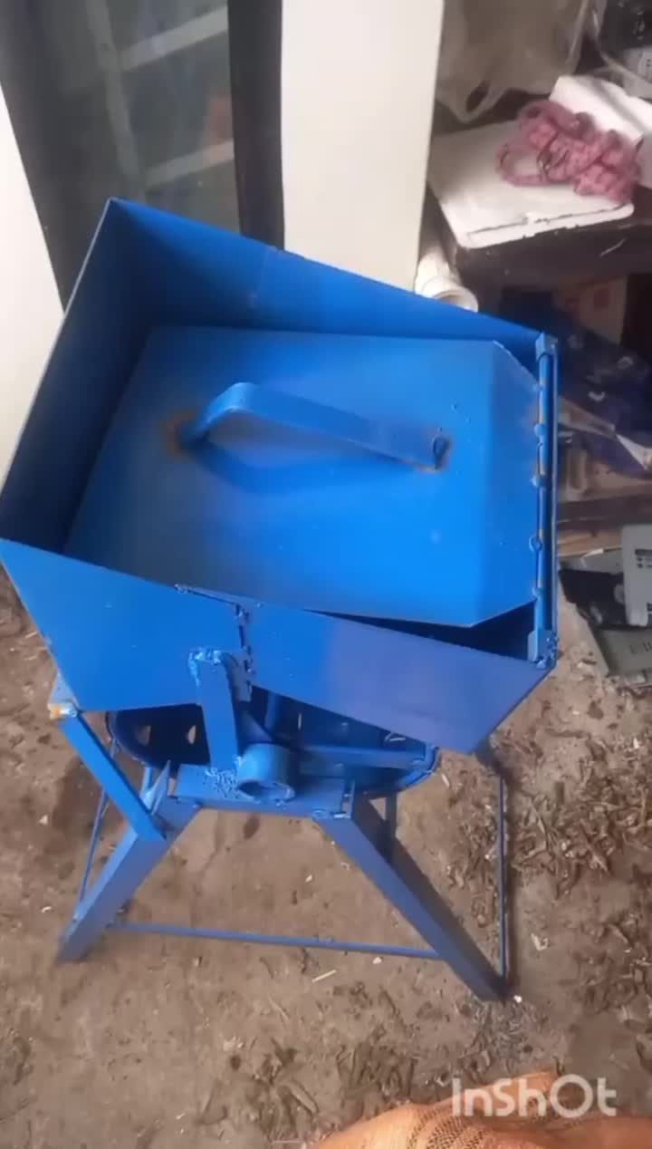 چغندر دامی|خوردنی و آشامیدنی|شوط, |دیوار