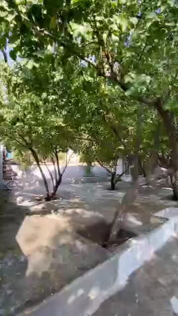 خانه باغ اجاره|اجارهٔ کوتاهمدت ویلا و باغ|ایلام, |دیوار