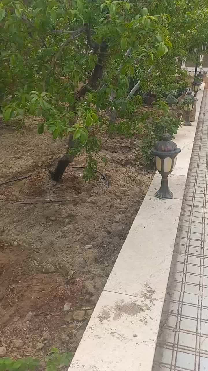 کلیه امور باغبانی هرس.علفزنی.سم پاشی کاشت نهال|خدمات باغبانی و درختکاری|هشتگرد, شهرک ولیعصر (مصلی)|دیوار