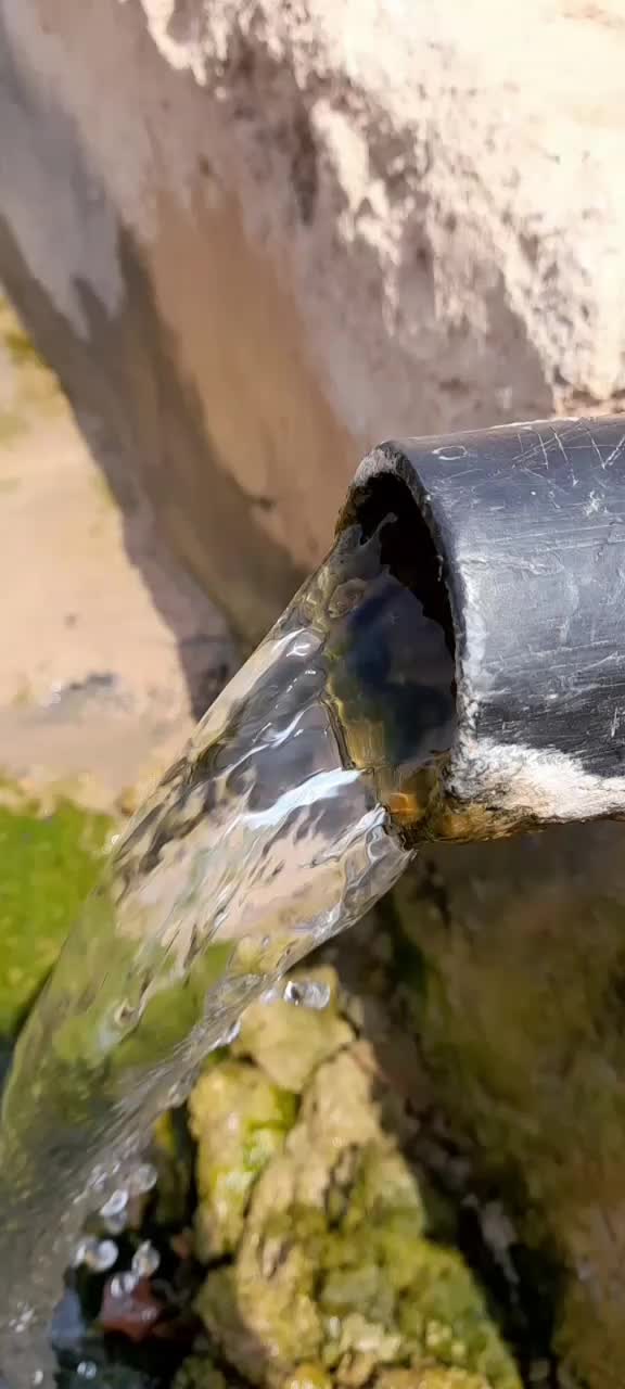 مزرعه|فروش زمین و ملک کلنگی|اردکان, |دیوار