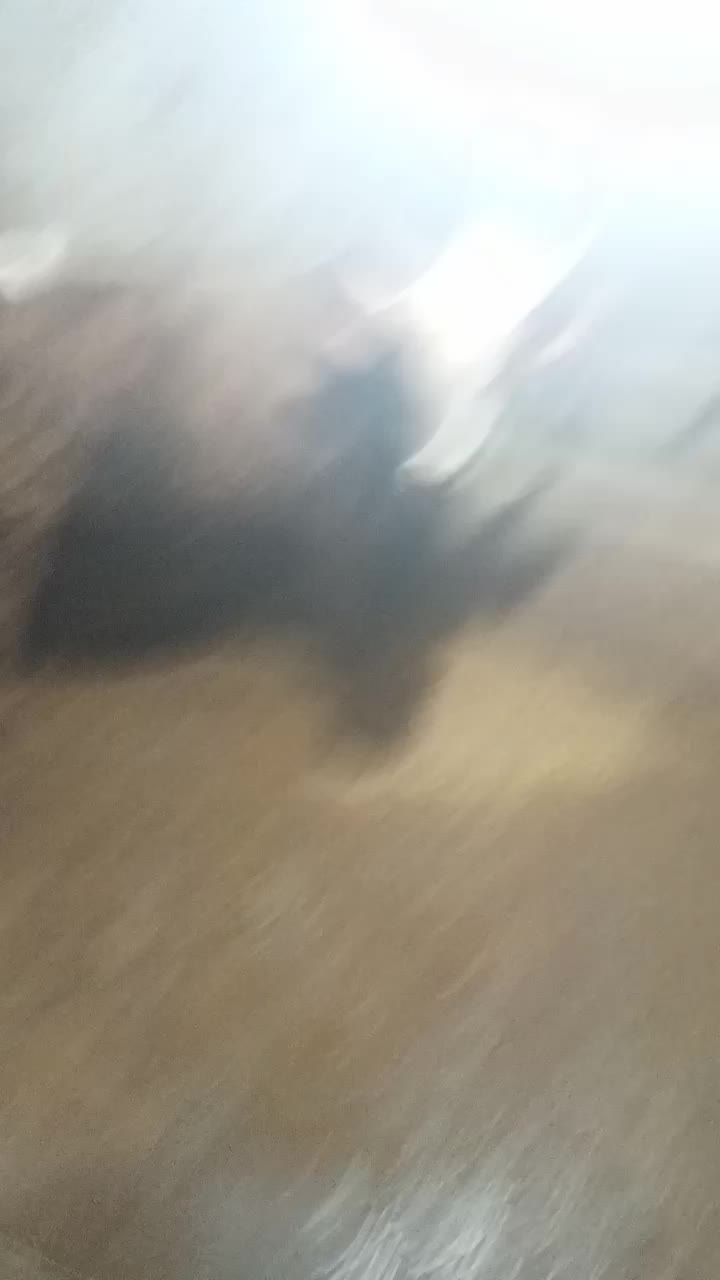 کارگر برای دامداری|استخدام سرایداری و نظافت|پل سفید, |دیوار