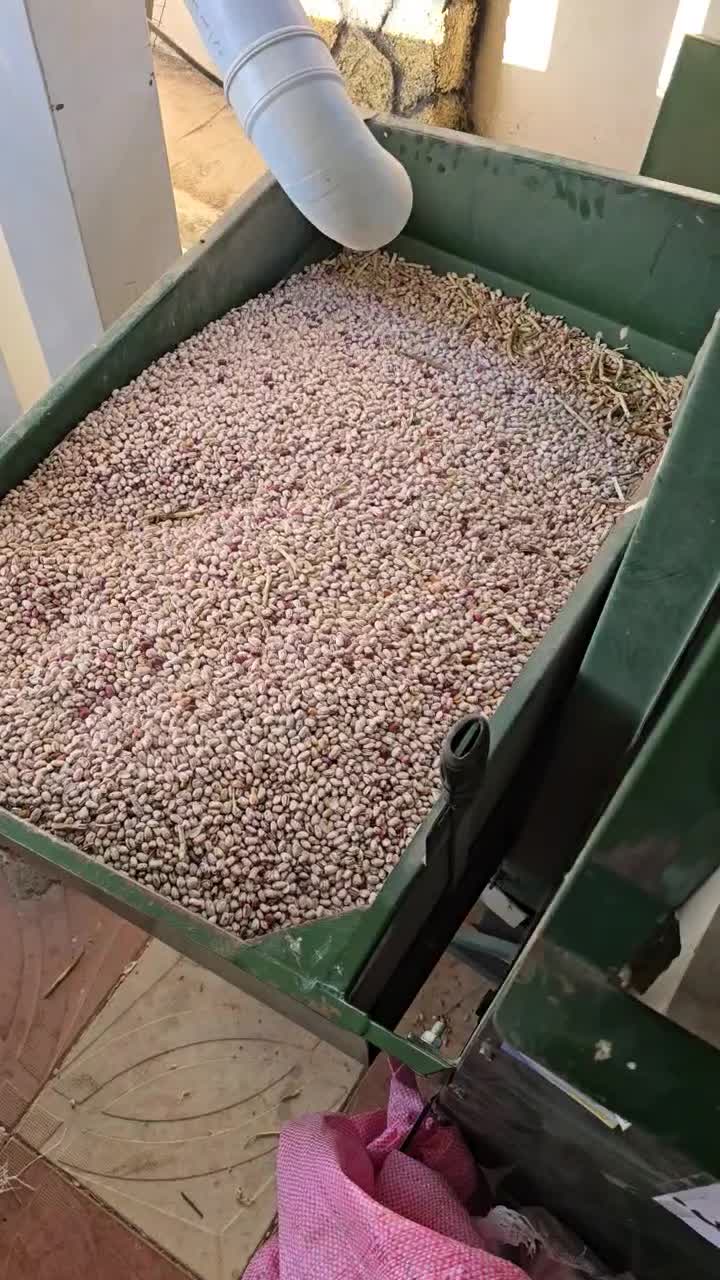 خرید و فروش و بوجاری انواع حبوبات|عمدهفروشی|مشگین شهر, |دیوار