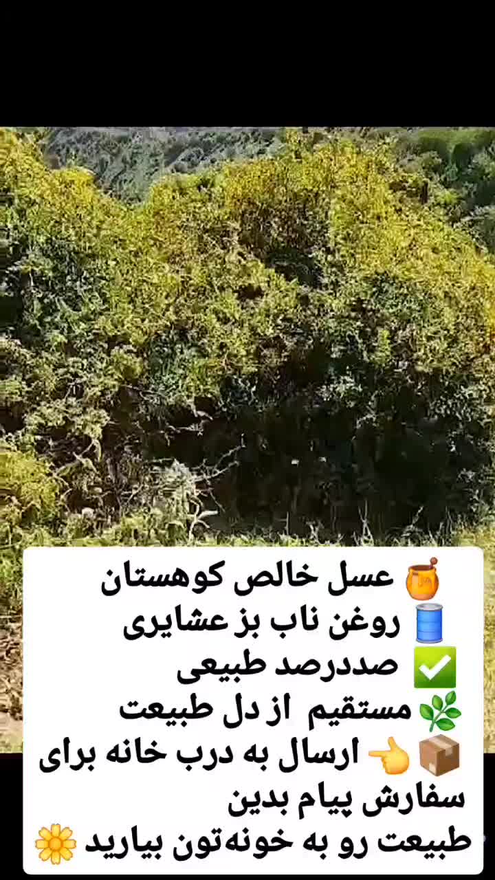 عسل کوهستان طبیعی و روغن بز درجه یک|خوردنی و آشامیدنی|اصفهان, طاحونه|دیوار