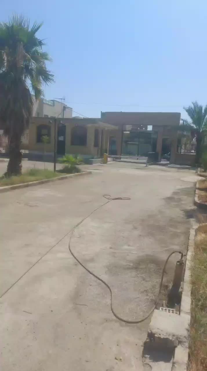 بریدن نخل قطع نخل کندن درخت هرس نخل تمیز نخل سمپاش|خدمات باغبانی و درختکاری|اهواز, نادری|دیوار