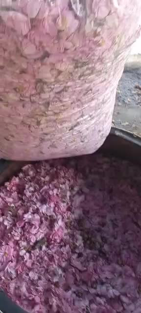 گلاب وعرقیات سنتی کاشان|عمدهفروشی|کاشان, شهرک صنعتی راوند|دیوار