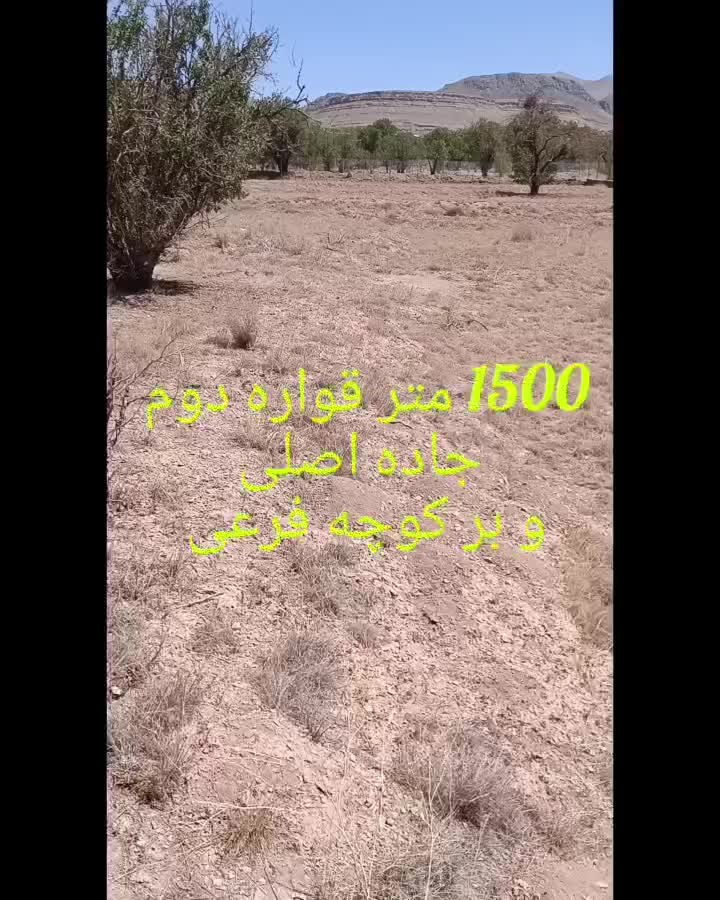 فروش زمین کشاورزی به همراه 3 ساعت آب چشمه زلال|فروش زمین و ملک کلنگی|دلیجان, |دیوار