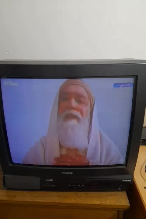 تلوزیون|تلویزیون و پروژکتور|یزد, |دیوار