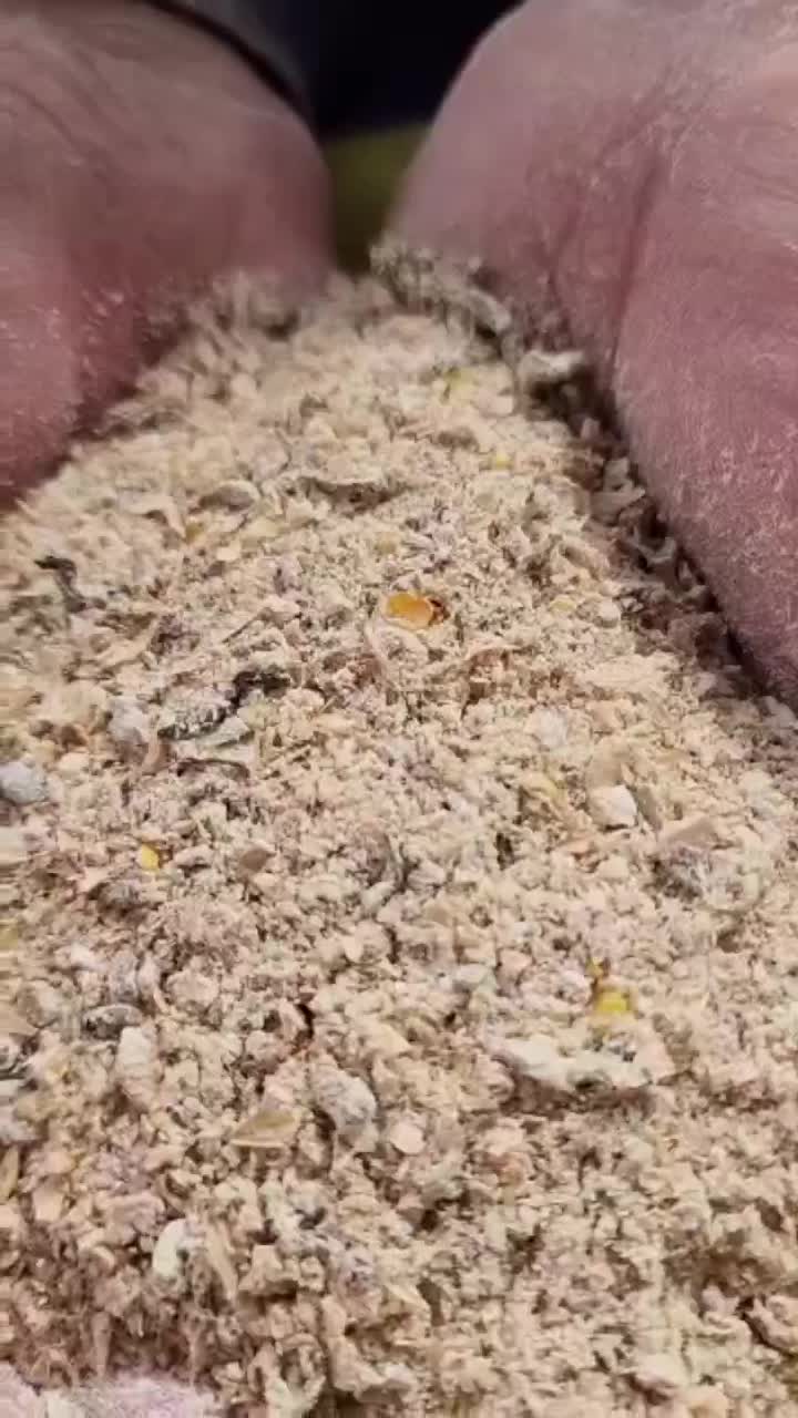 خوراک دام پودری برای شیری و گوشتی فوق درجه یک|حیوانات مزرعه|طسوج, |دیوار